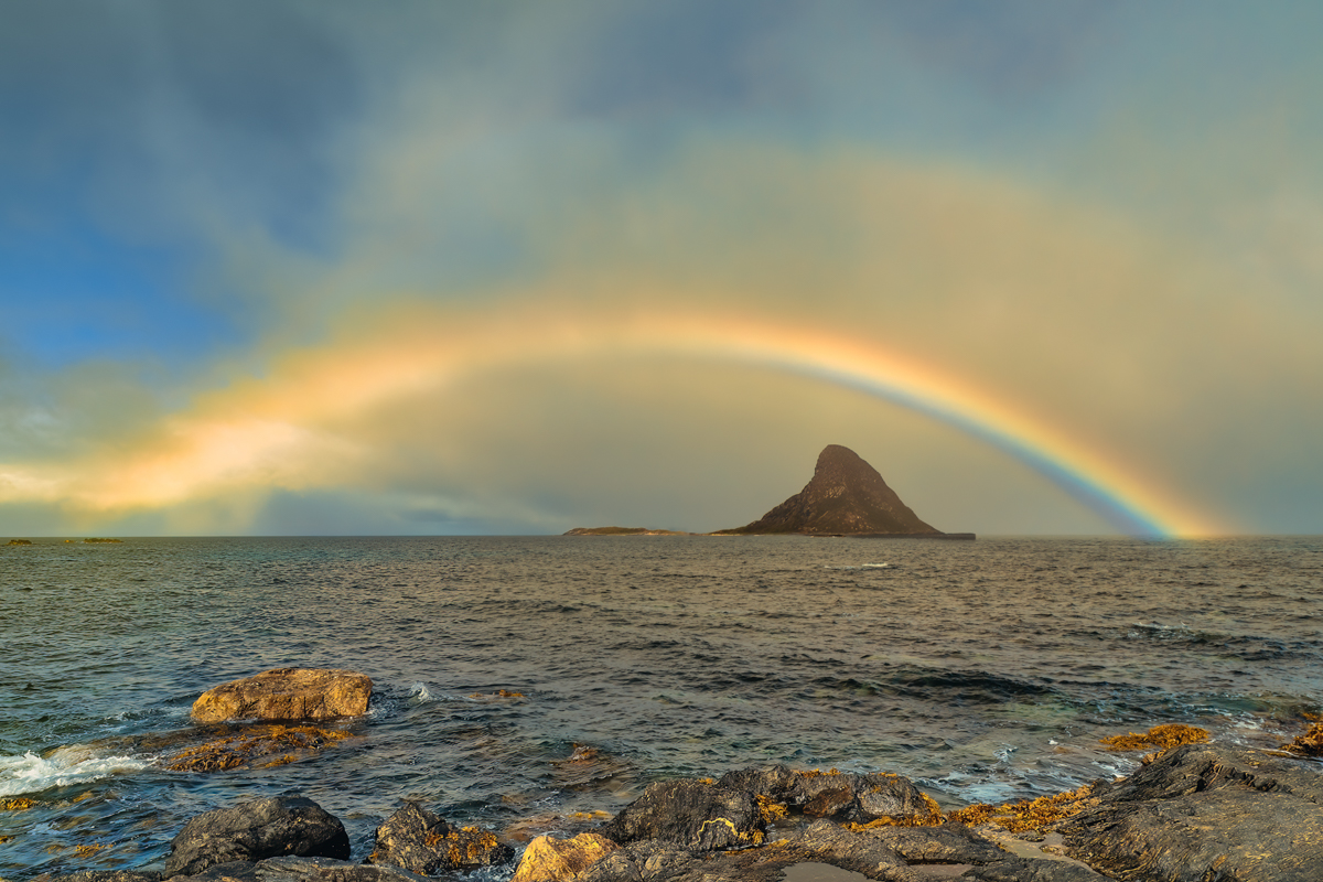 81-2309-regenboog bovenhaaientand, verbetering(2).jpg